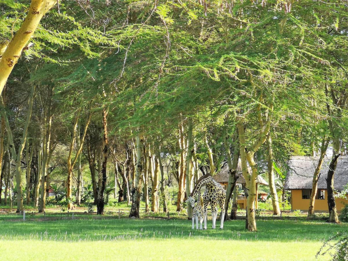 Africa Safari Camping Мто-ва-Мбу Екстер'єр фото